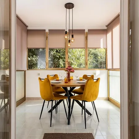 Bruno, Novigrad Novigrad Istria