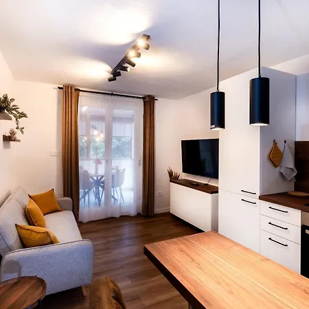 Bruno, Novigrad Daire