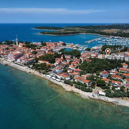 Bruno, Novigrad Novigrad Istria