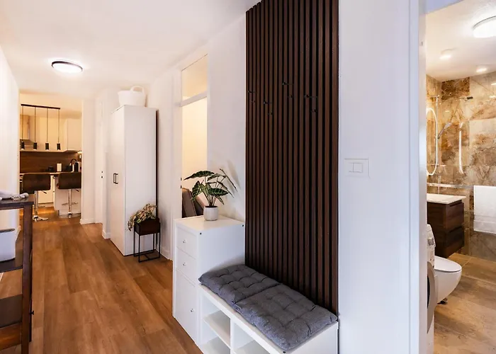 Bruno, Novigrad Daire Novigrad Istria