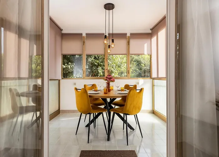 Bruno, Novigrad Novigrad Istria