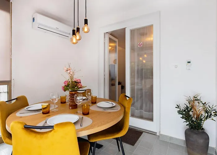 Bruno, Novigrad Daire