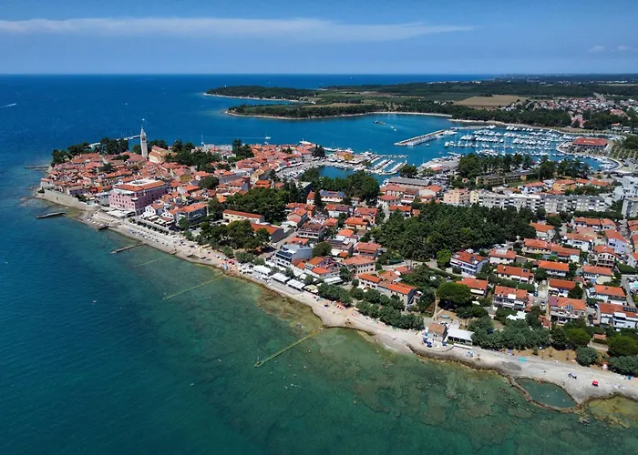 Bruno, Novigrad * Novigrad Istria