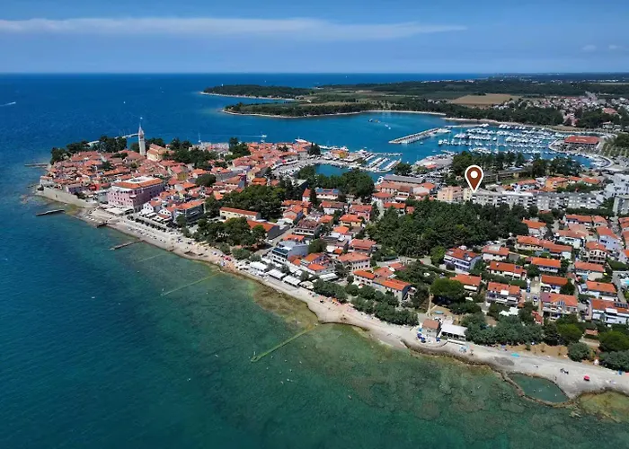 Bruno, Novigrad Novigrad Istria